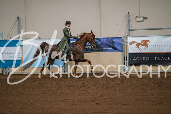 Aurora Show June 8, 2024  - 00996