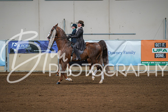 Aurora Show June 8, 2024  - 00981
