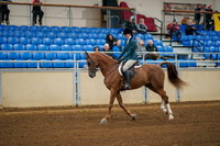 Aurora Show June 8, 2024  - 00820