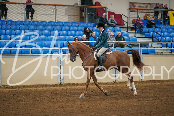 Aurora Show June 8, 2024  - 00820