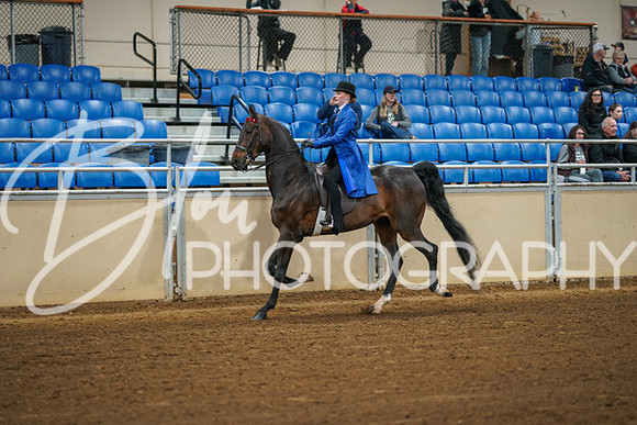 Aurora Show June 8, 2024  - 00972