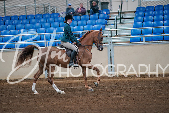 Aurora Show June 8, 2024  - 00866