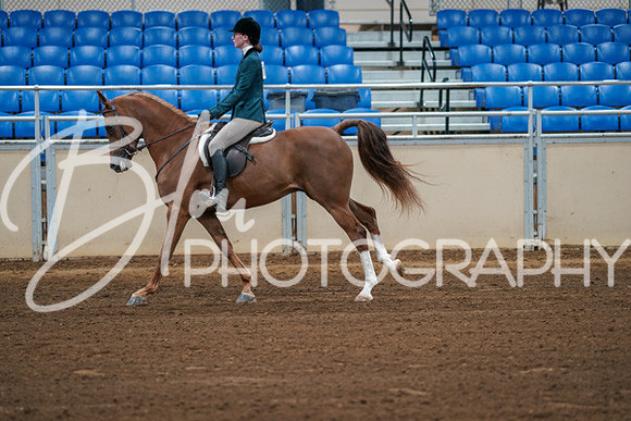 Aurora Show June 8, 2024  - 00842