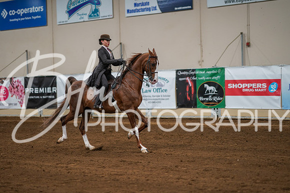 Aurora Show June 8, 2024  - 01024