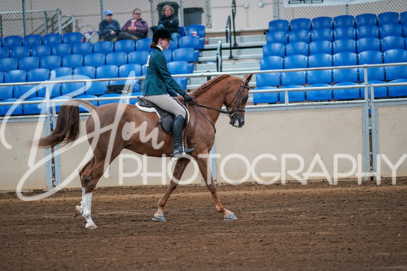 Aurora Show June 8, 2024  - 00867