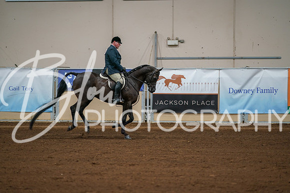 Aurora Show June 8, 2024  - 00909