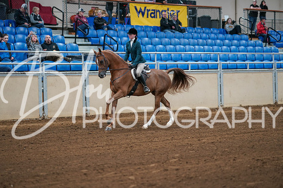 Aurora Show June 8, 2024  - 00835