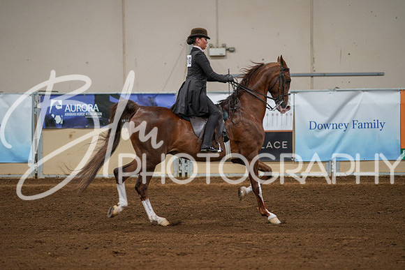 Aurora Show June 8, 2024  - 01032