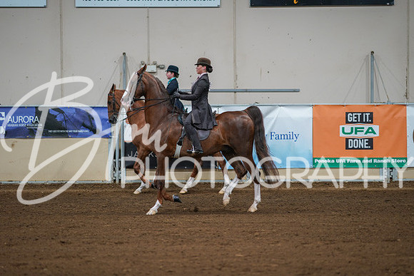 Aurora Show June 8, 2024  - 00979