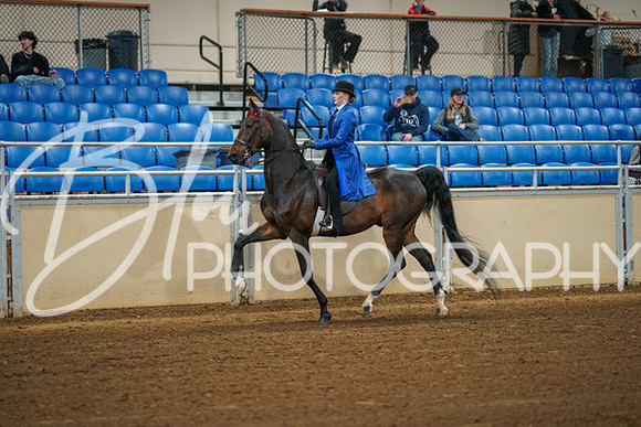 Aurora Show June 8, 2024  - 00973