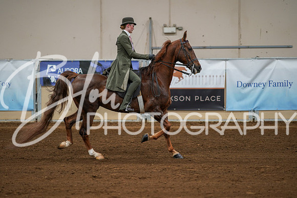 Aurora Show June 8, 2024  - 01040