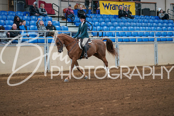 Aurora Show June 8, 2024  - 00836