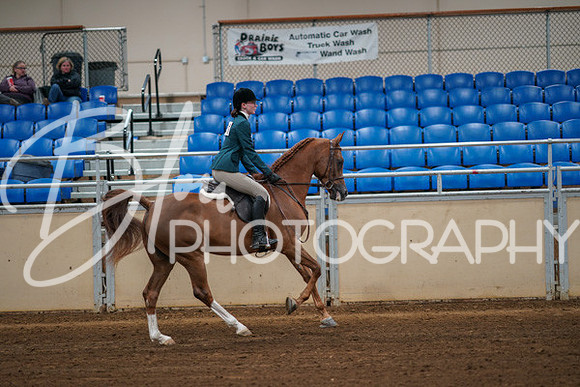 Aurora Show June 8, 2024  - 00872