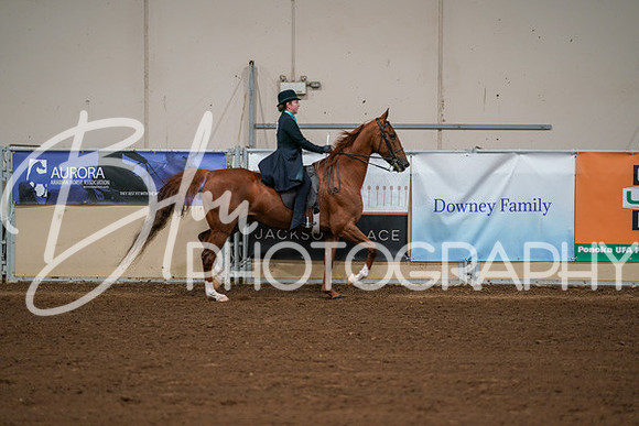 Aurora Show June 8, 2024  - 01010