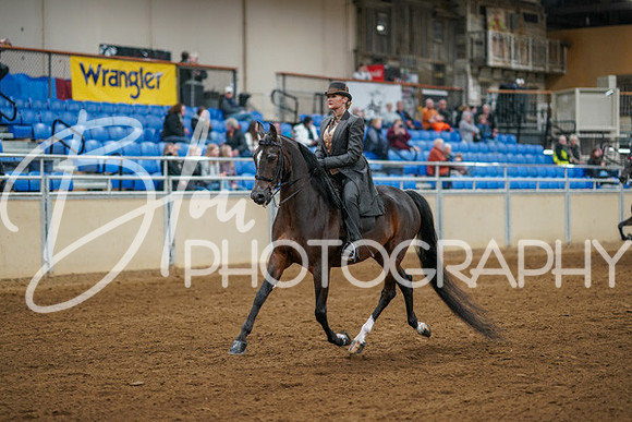 Aurora Show June 8, 2024  - 00969
