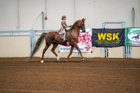 87 - AllBreed Walk Trot Jog Pleasure - 11 and under