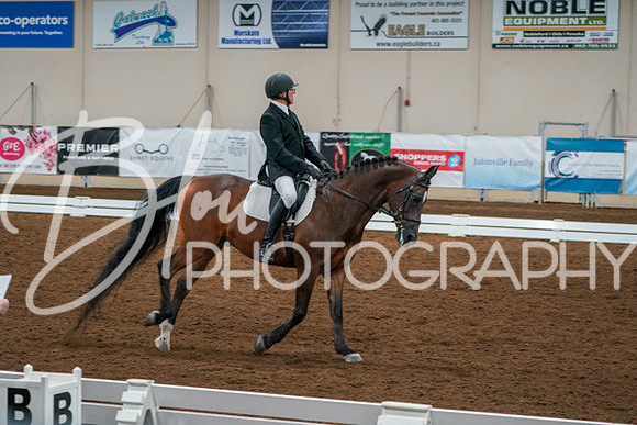 Aurora Show June 6, 2024  - 00949