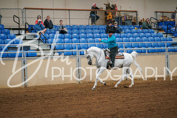 Aurora Show June 6, 2024  - 03790