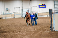 82 - All Breed Leadline, Any age