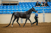 Fall Classic Sept 28, 2024 - 0162
