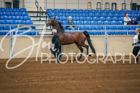 ACHS- July 15, 2023 - 00304