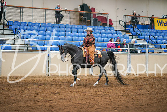 Aurora Show June 8, 2024  - 01207