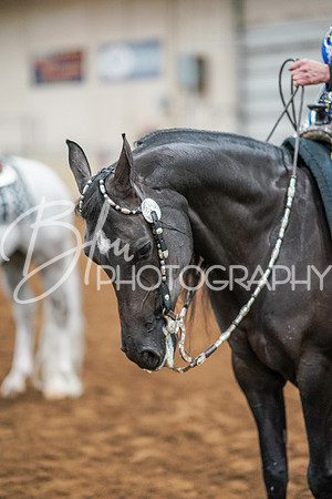 Aurora Show June 8, 2024  - 01296