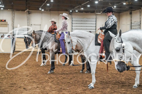 Aurora Show June 8, 2024  - 01298