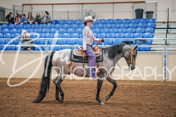 Aurora Show June 8, 2024  - 01284