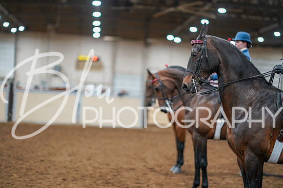 Aurora Show June 8, 2024  - 01156