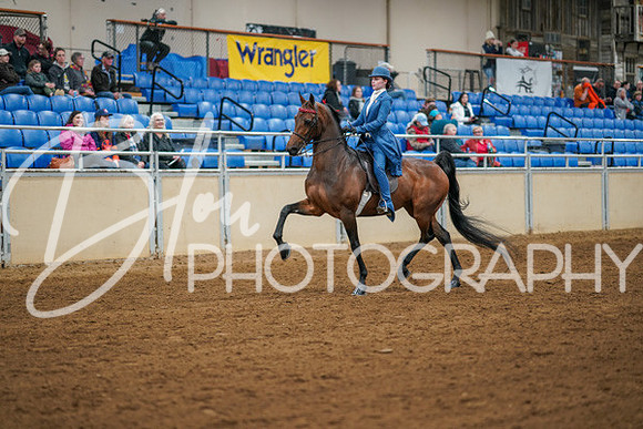 Aurora Show June 8, 2024  - 01124
