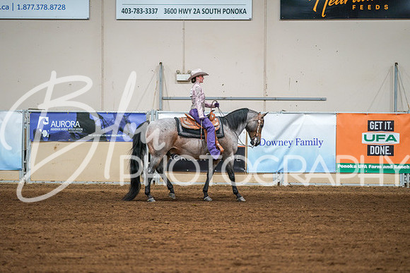 Aurora Show June 8, 2024  - 01235
