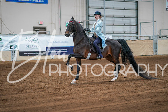 Aurora Show June 8, 2024  - 01119