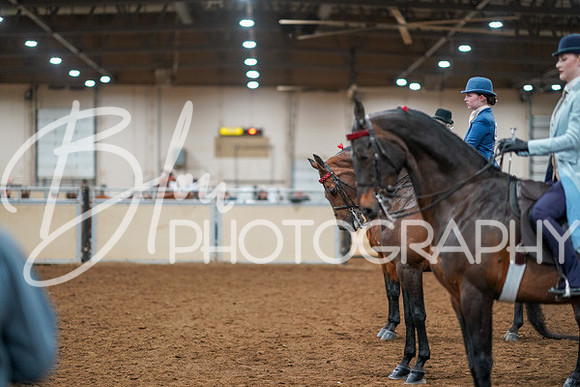 Aurora Show June 8, 2024  - 01154