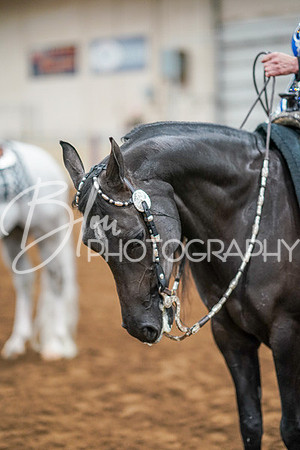 Aurora Show June 8, 2024  - 01297