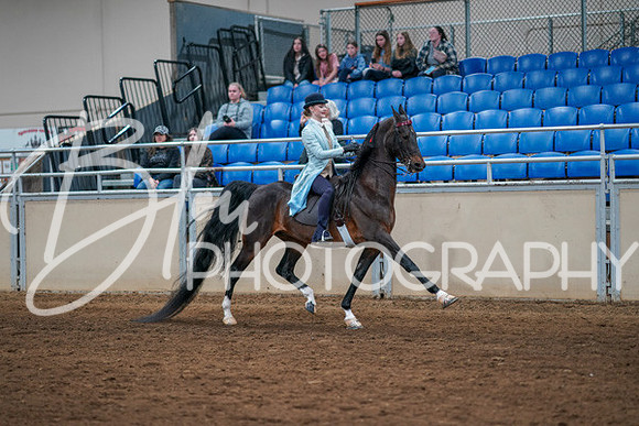 Aurora Show June 8, 2024  - 01144