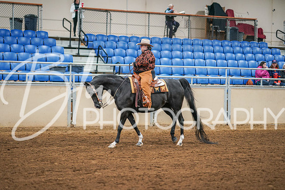 Aurora Show June 8, 2024  - 01208