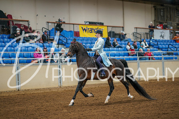 Aurora Show June 8, 2024  - 01138