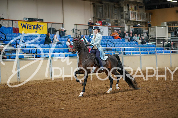 Aurora Show June 8, 2024  - 01135