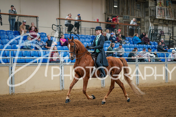 FCHS - Sept 24, 2023 - 02825
