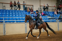 94 - American Saddlebred Park Pleasure Stake