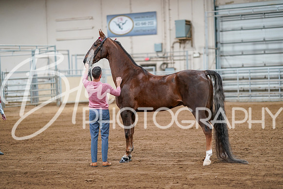 FCHS - Sept 23, 2023 - 00156