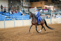 12 - All Breed English Pleasure, Sr Exhibitor