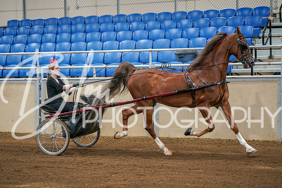 ACHS- July 16, 2023 - 00175
