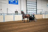 81 - ALL BREEDS OPEN DRIVING, STAKE