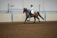 113 - ALL BREEDS EXECUTIVE PLEASURE ANY DISCIPLINE