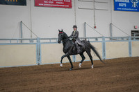 91 - ASB ENGLISH COUNTRY PLEASURE, STAKE