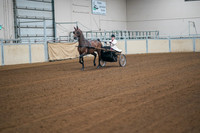 110 - ASB PLEASURE DRIVING (COUNTRY, SHOW, OR PARK PLEASURE HORSES)