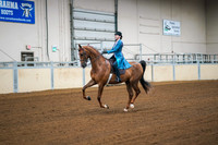 103 - ASB 3-GAITED SHOW PLEASURE STAKE
