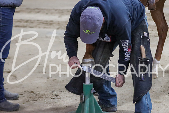 Spring Flling Friday, April 21, 2023 - 0654
